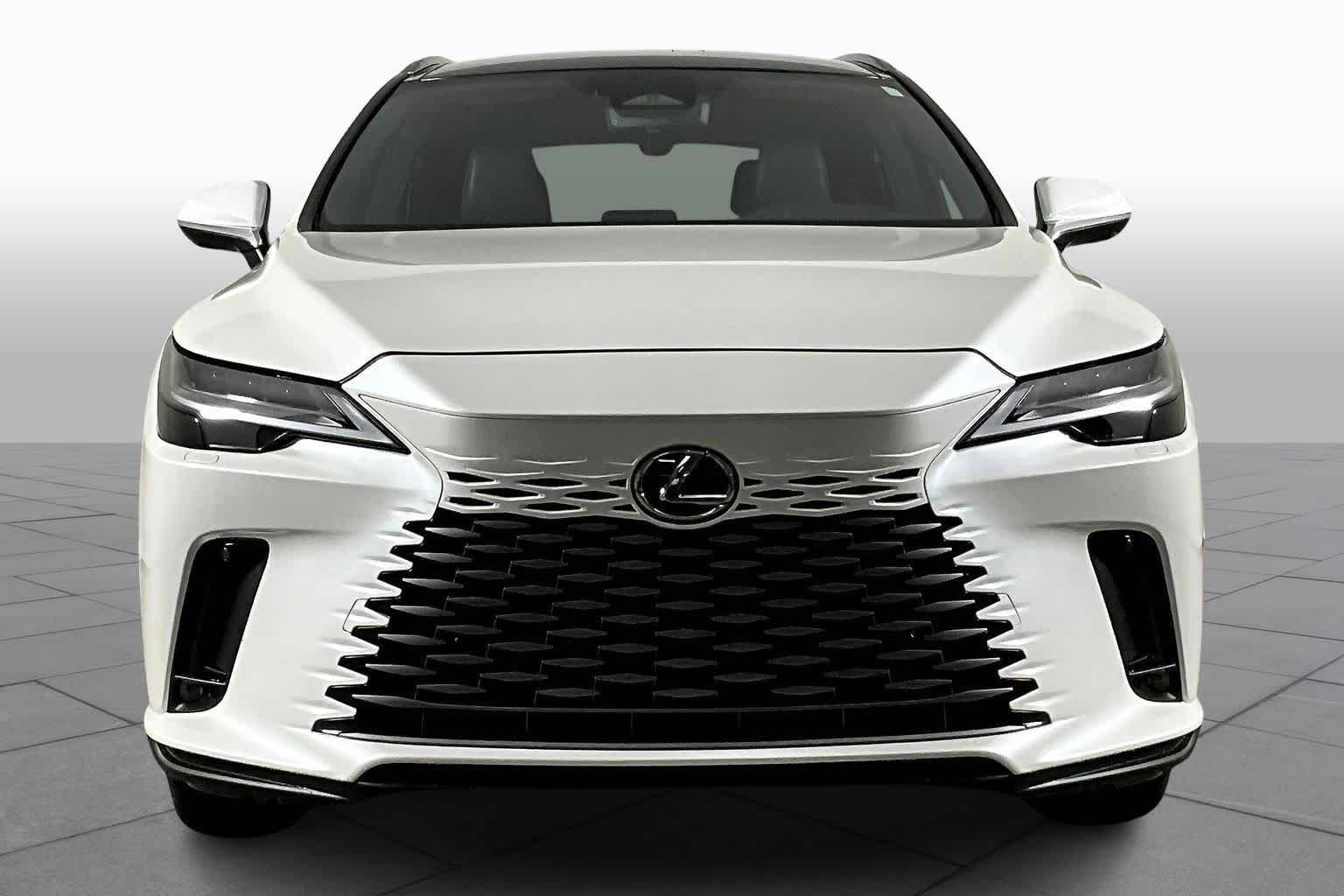 2024 Lexus RX Luxury photo 3