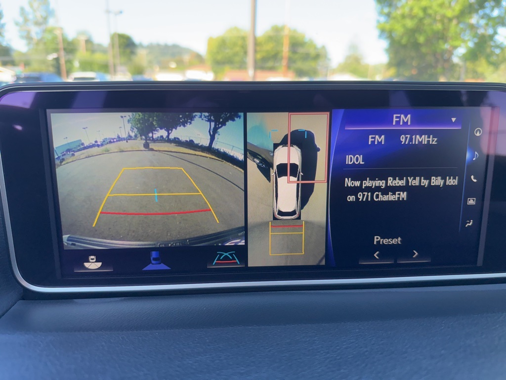 2019 Lexus RX 450h F SPORT photo 52
