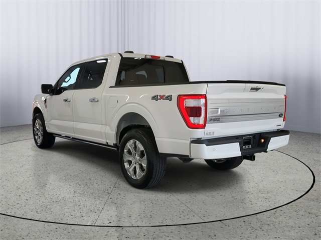 2023 Ford F-150 Platinum photo 3