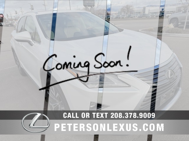 2018 Lexus RX 350's photo