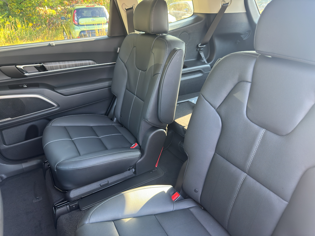 2025 Kia Telluride EX photo 8