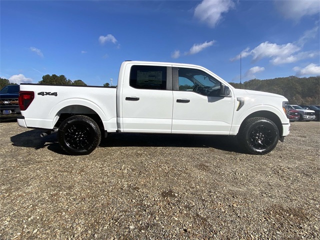 2025 Ford F-150 STX photo 2