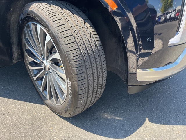 2025 Hyundai Palisade Calligraphy photo 22