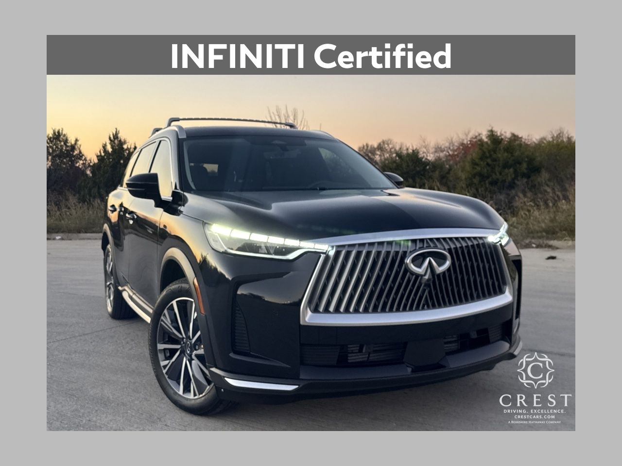 2026 INFINITI QX60 LUXE's photo