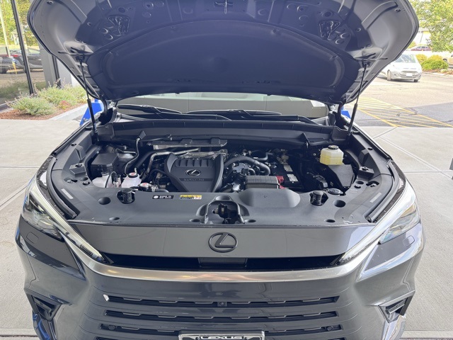 2025 Lexus TX 350 Luxury photo 5