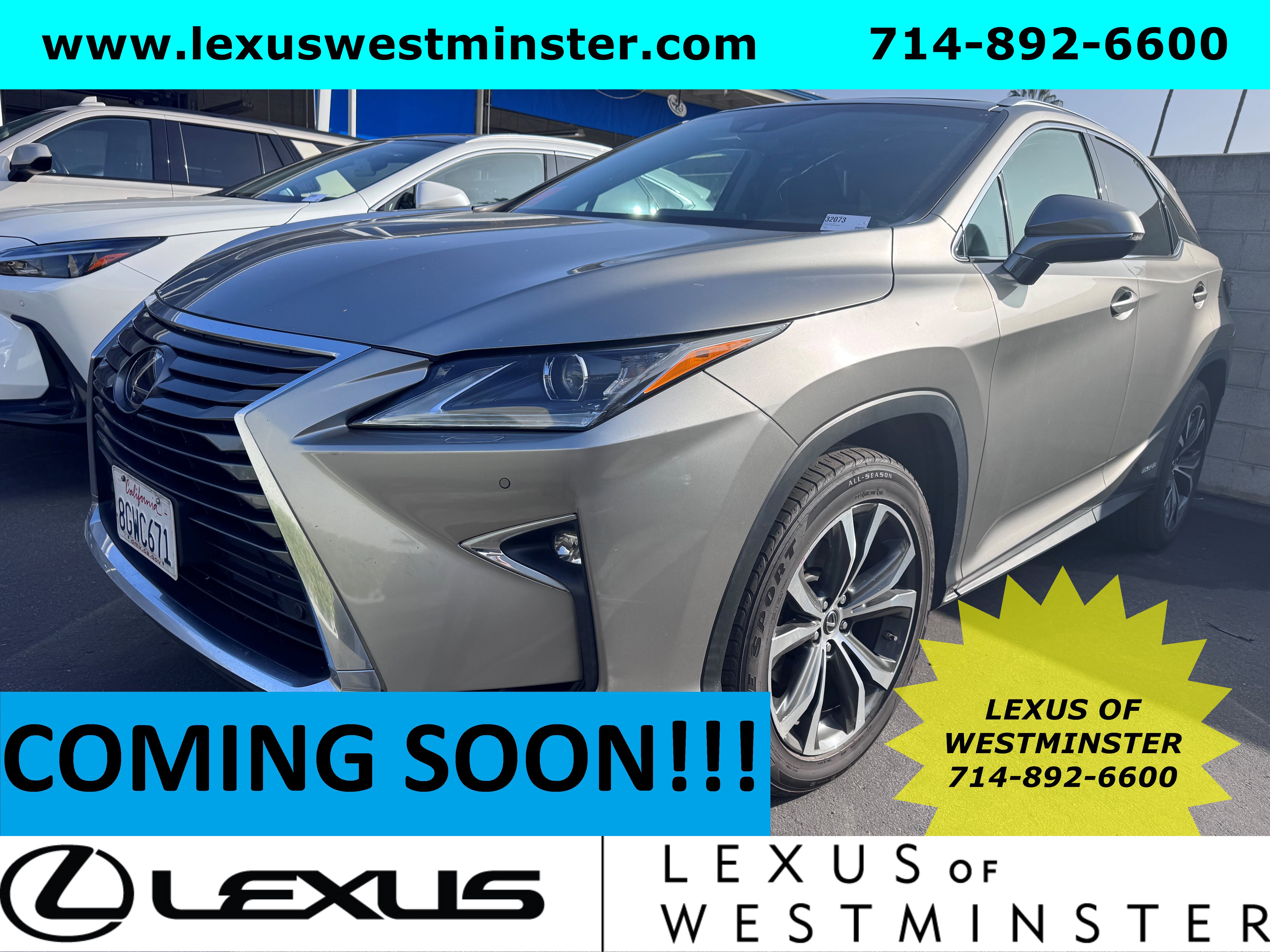 2019 Lexus RX Hybrid 450h's photo