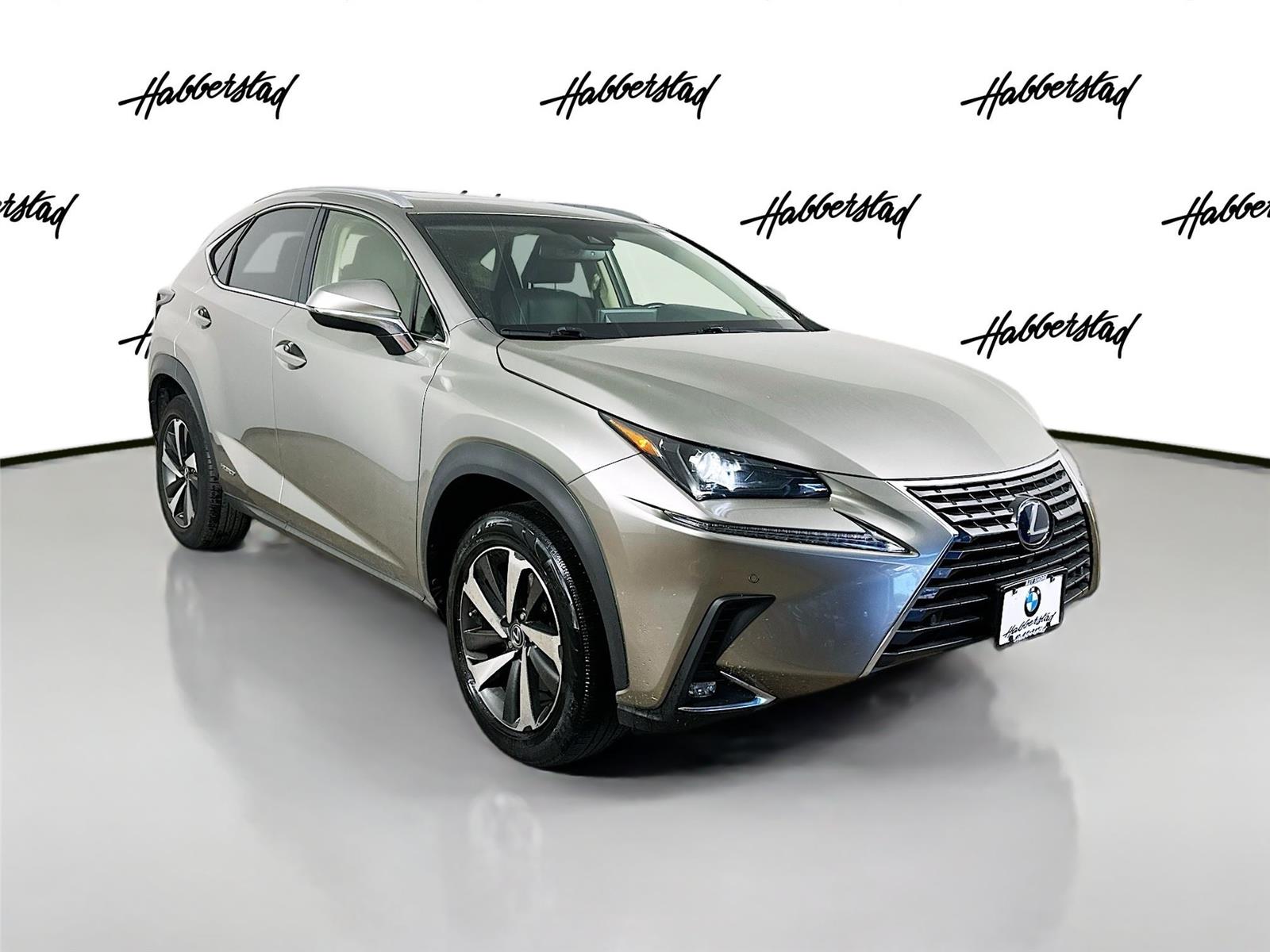 2018 Lexus NX 300h Luxury photo 3