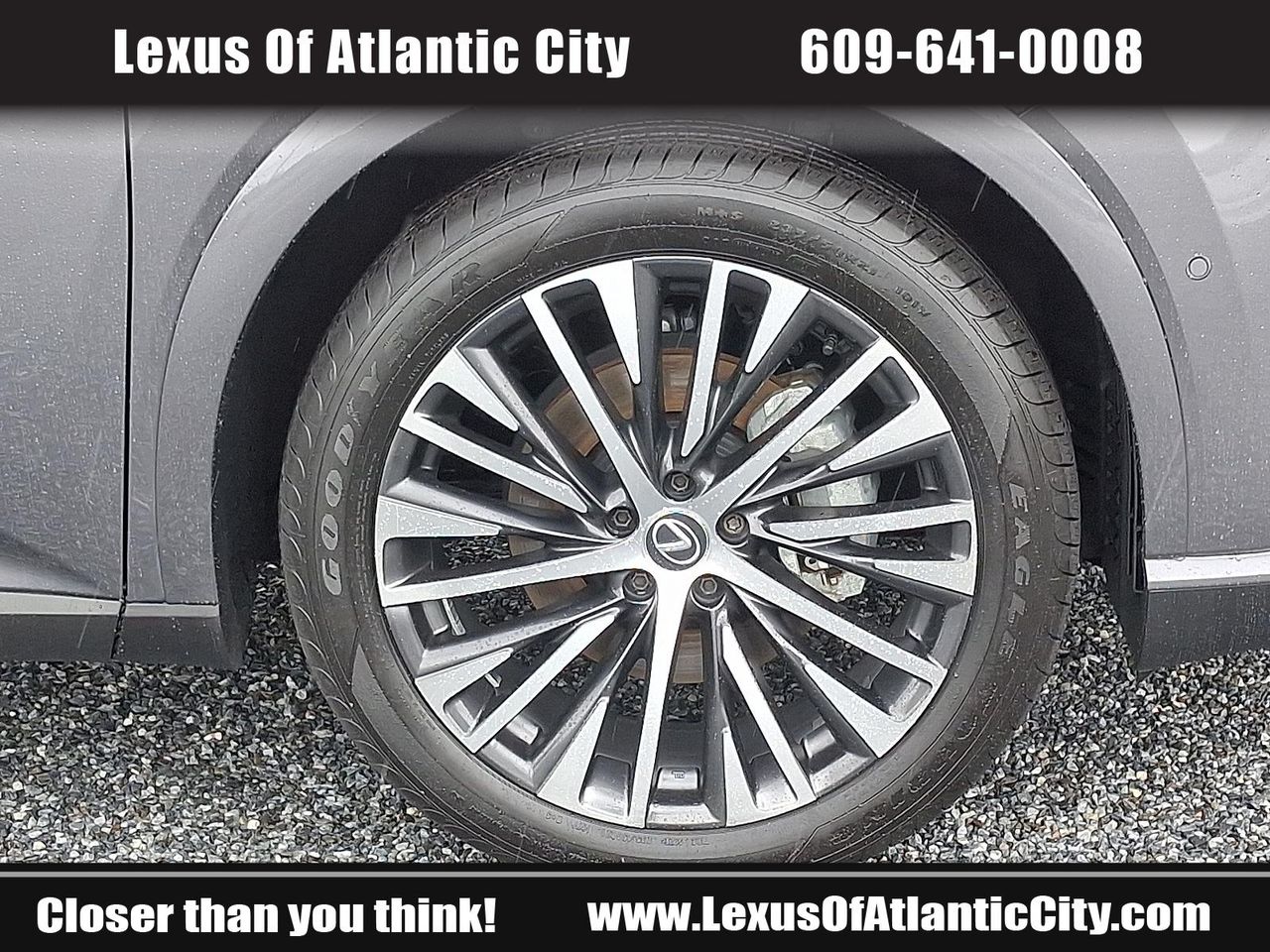 2023 Lexus RX 350h photo 8