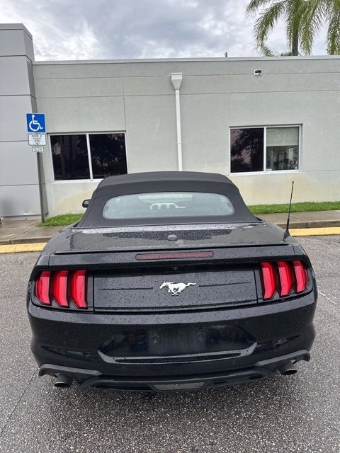 2023 Ford Mustang EcoBoost Premium photo 5
