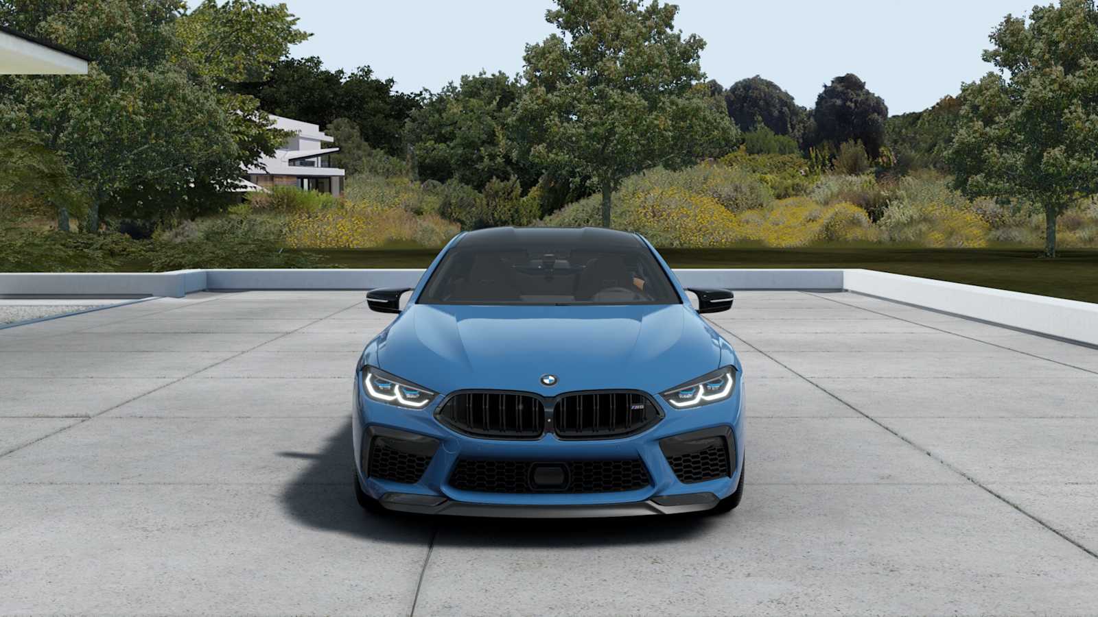 2025 Bmw M8 Competition photo 3