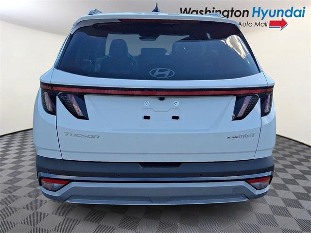 2025 Hyundai Tucson Hybrid Limited photo 5