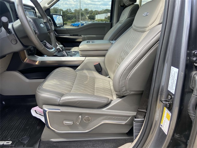2024 Ford F-150 Platinum photo 10