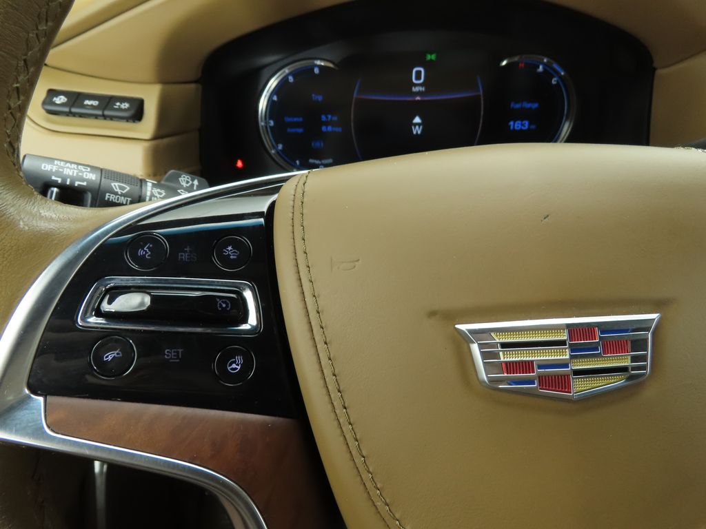 2017 Cadillac Escalade Platinum photo 11