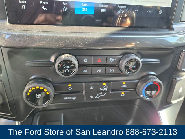 2025 Ford F-150 STX photo 17