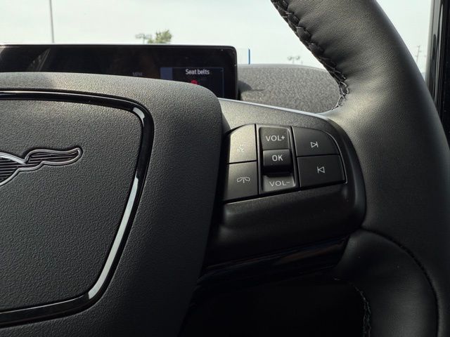 2025 Ford Mustang Mach-E Select photo 22