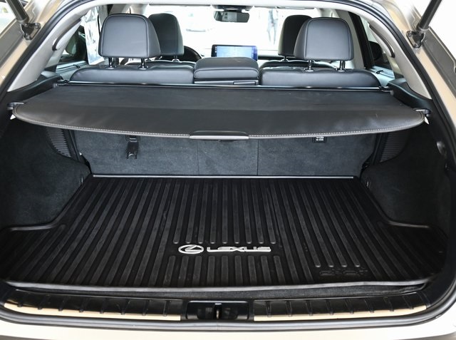 2020 Lexus RX 450h Luxury photo 18