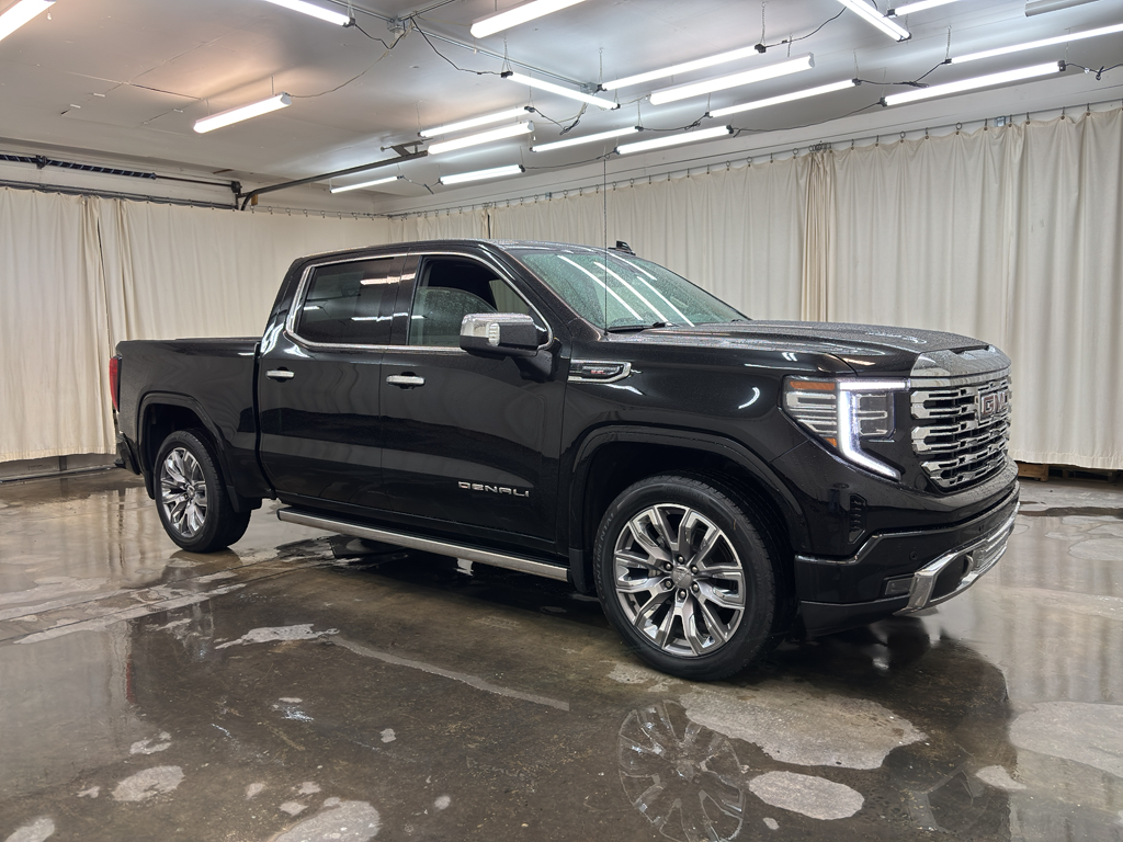 2023 Gmc Sierra 1500 Denali photo 3