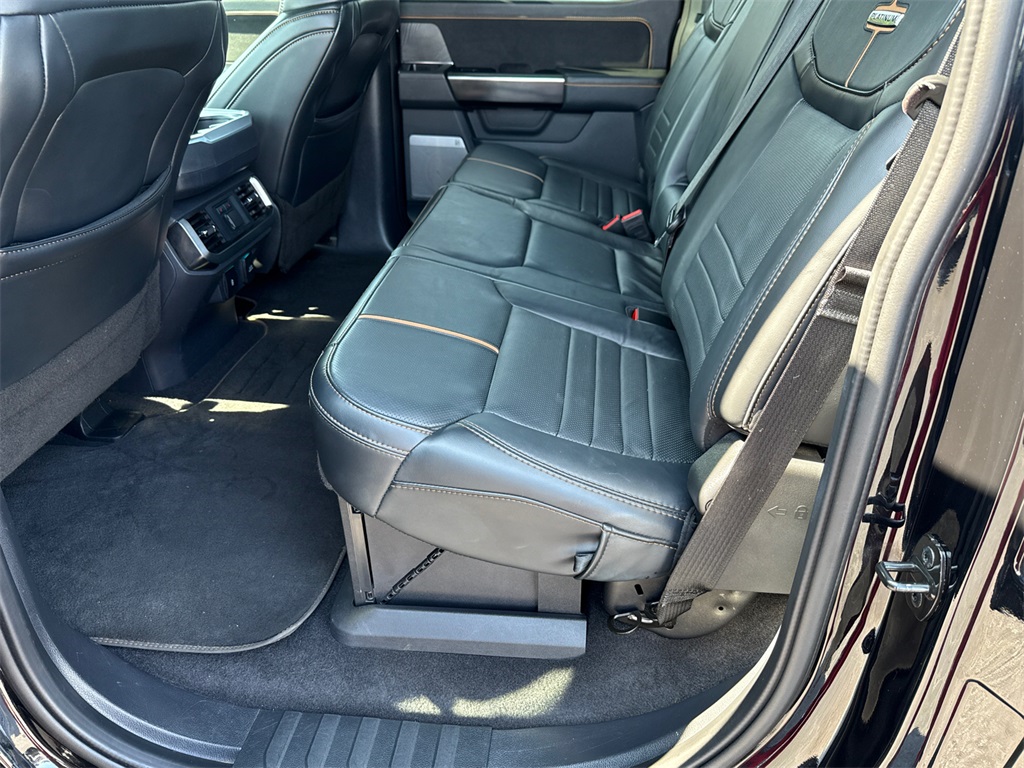 2023 Ford F-150 Platinum photo 20