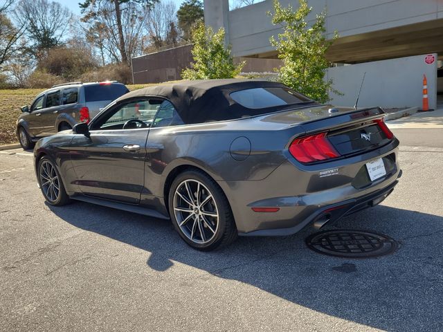 Used 2019 Ford Mustang EcoBoost Premium with VIN 1FATP8UH8K5149808 for sale in Stone Mountain, GA