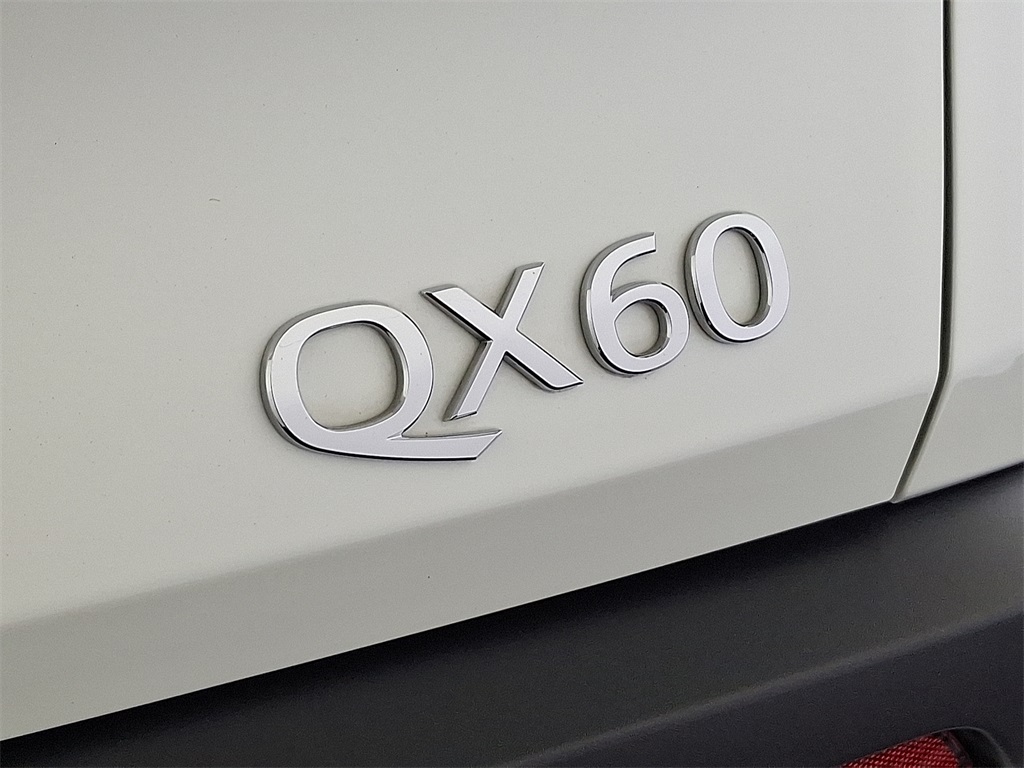 2025 Infiniti QX60 Luxe photo 25