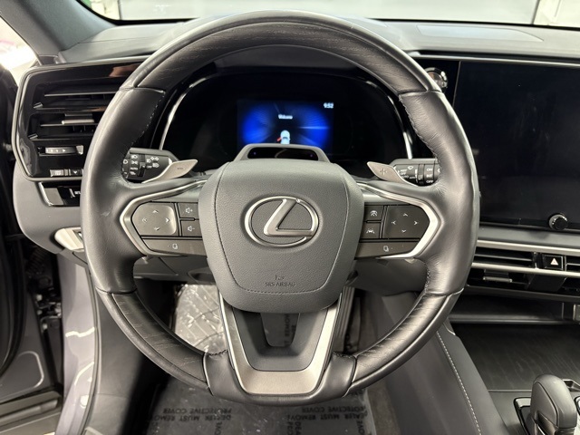 2024 Lexus RX 450h+ Luxury photo 7
