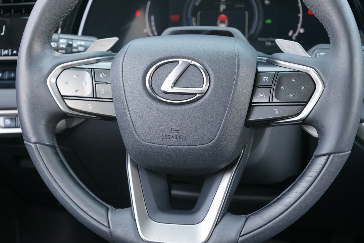 2023 Lexus RX 350h Luxury photo 28