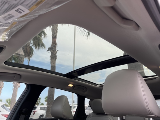 2025 Infiniti QX50 Luxe photo 12