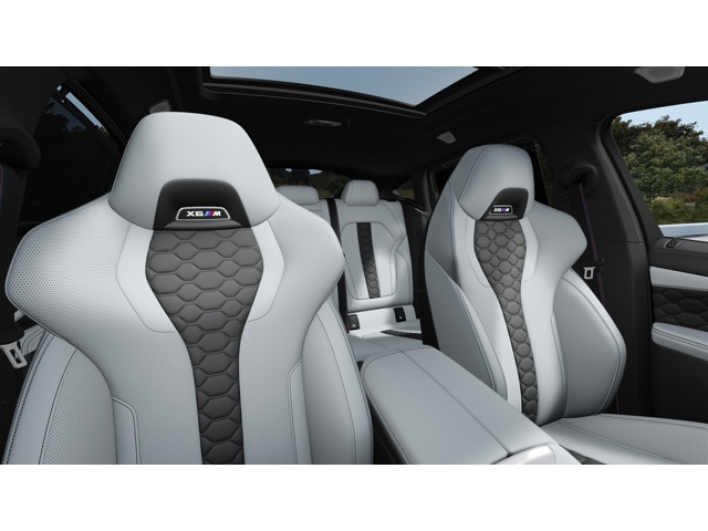 2026 Bmw X6 photo 8