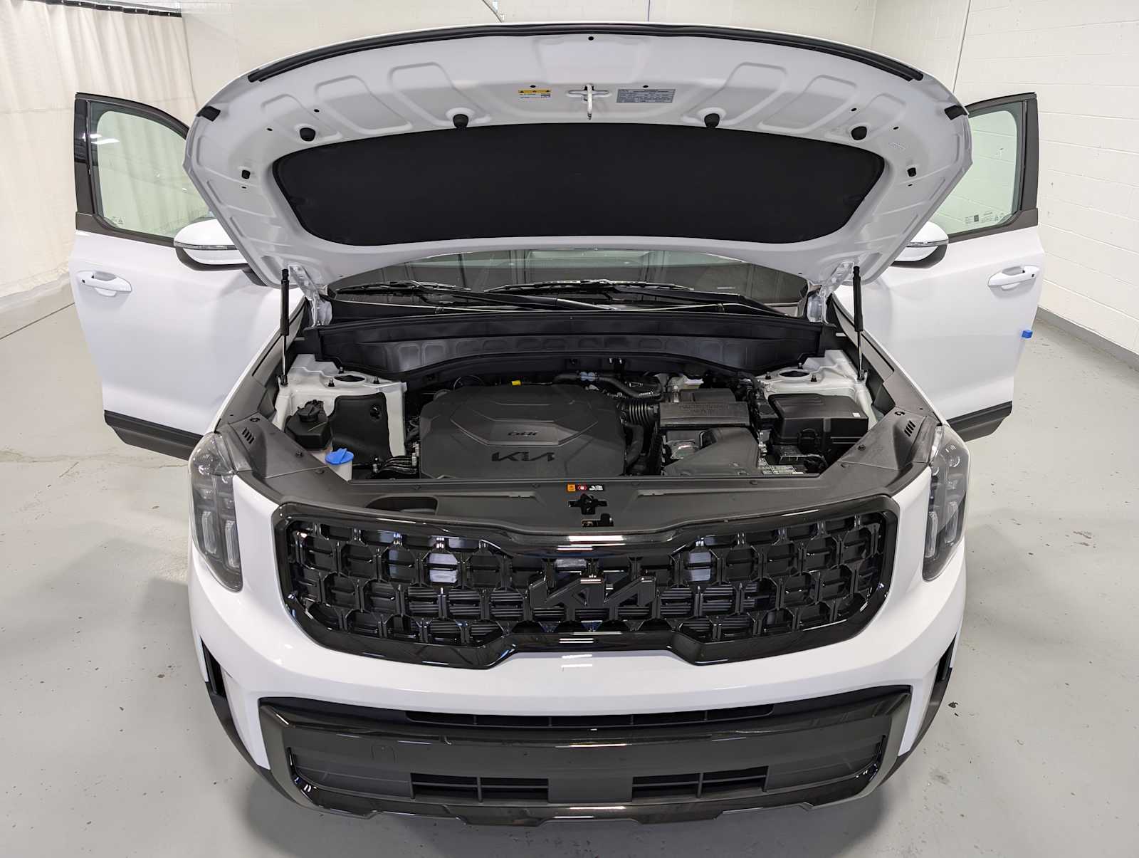 2025 Kia Telluride EX X-Line photo 12