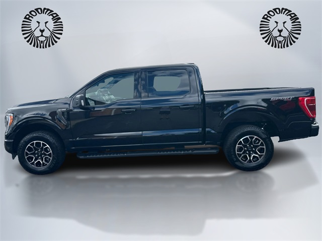 2023 Ford F-150 XLT photo 6