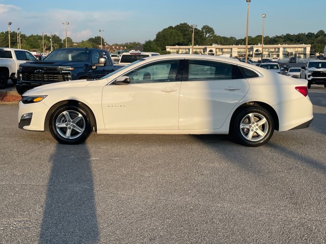 2024 Chevrolet Malibu 1LT photo 4