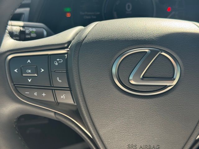 2024 Lexus UX 250h F SPORT Design photo 26