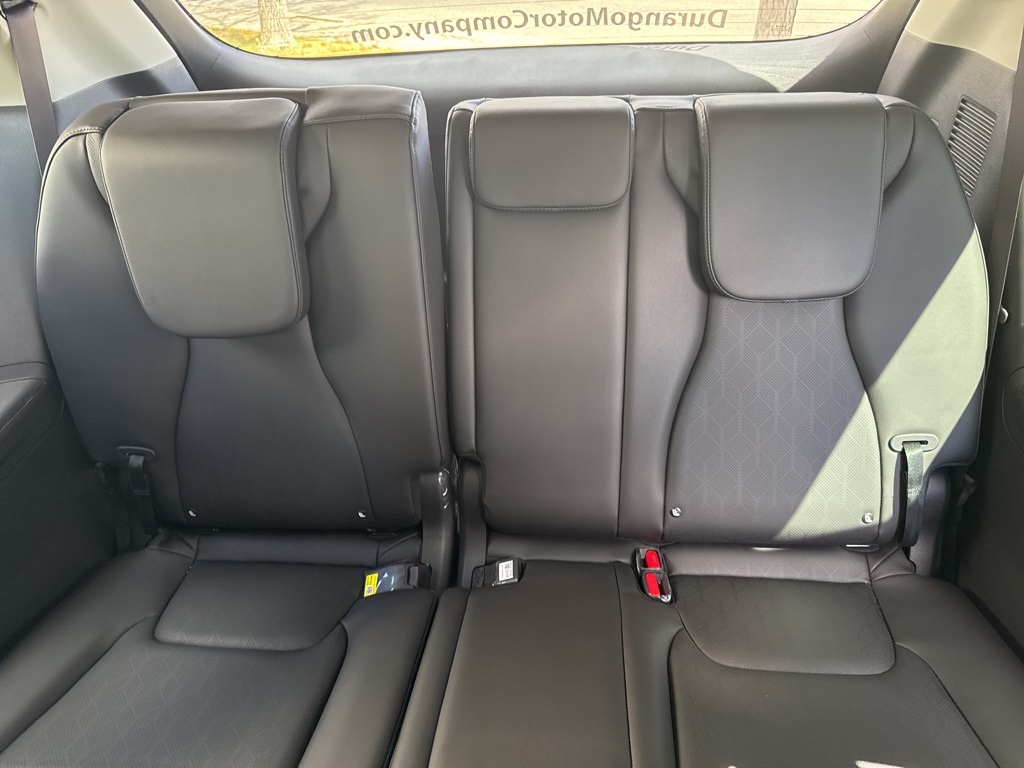 2025 Kia Carnival SX photo 23