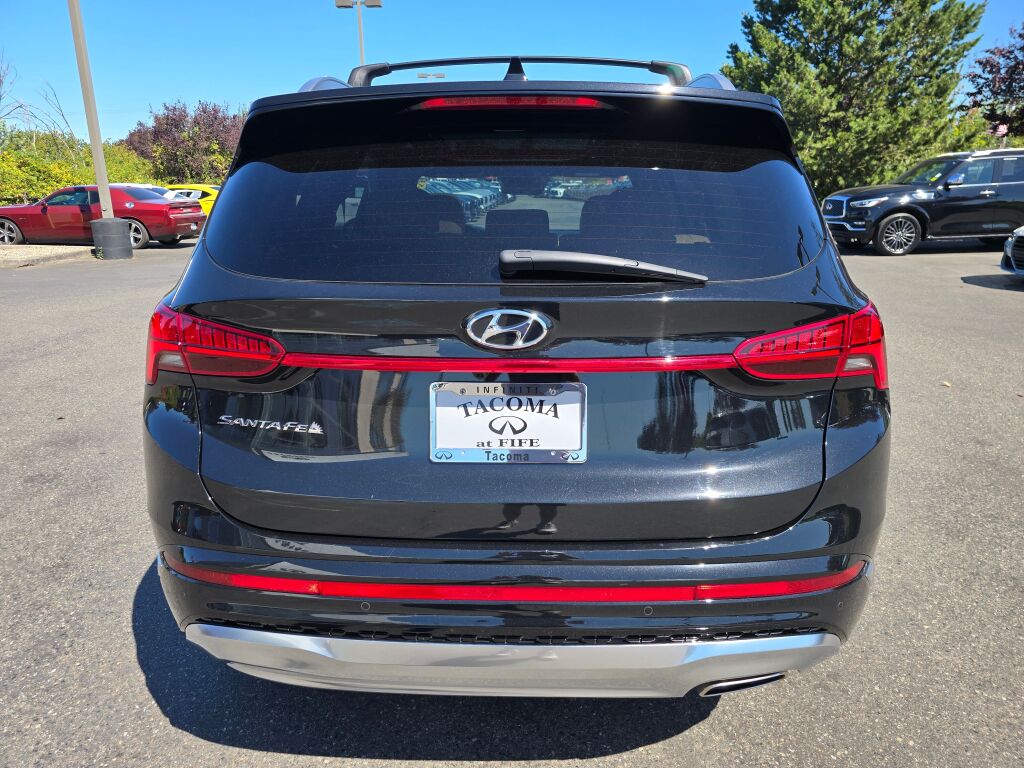 2023 Hyundai Santa Fe Calligraphy photo 4