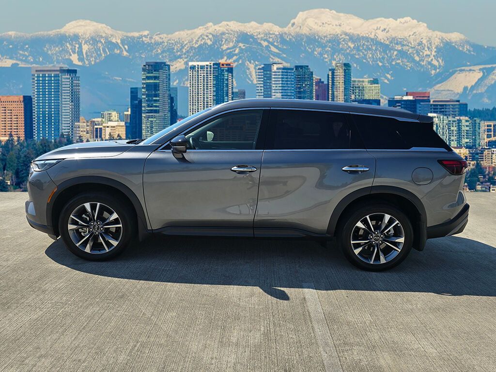 2024 Infiniti QX60 Luxe photo 4