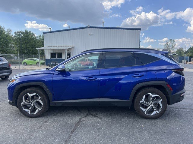 2024 Hyundai Tucson Limited photo 6