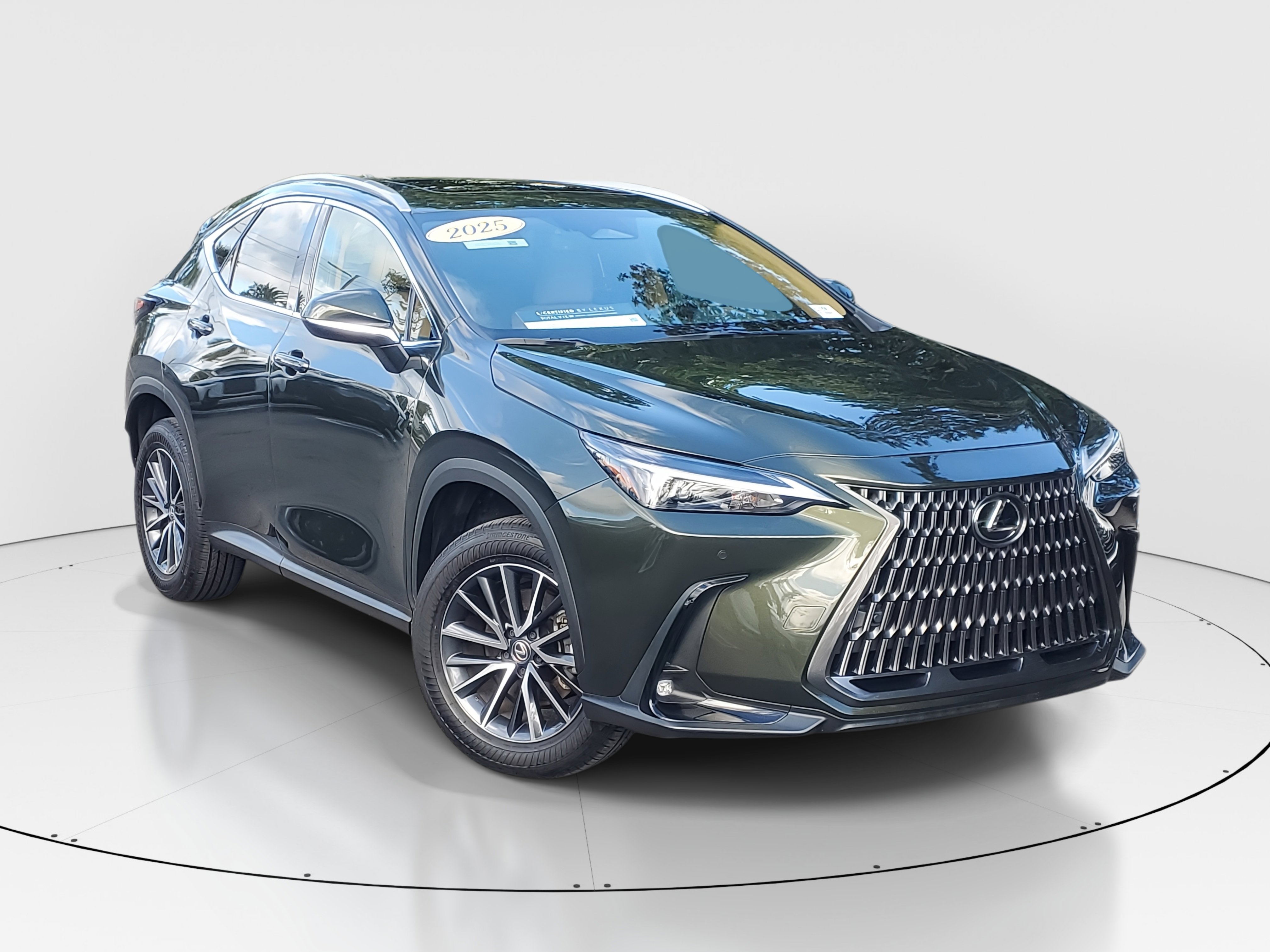 2025 Lexus NX 250 Premium photo 2