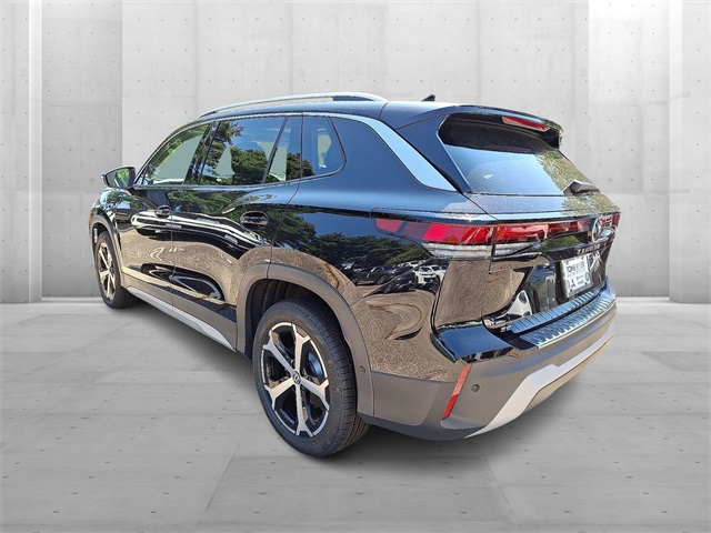 2025 Volkswagen Tiguan SE photo 2