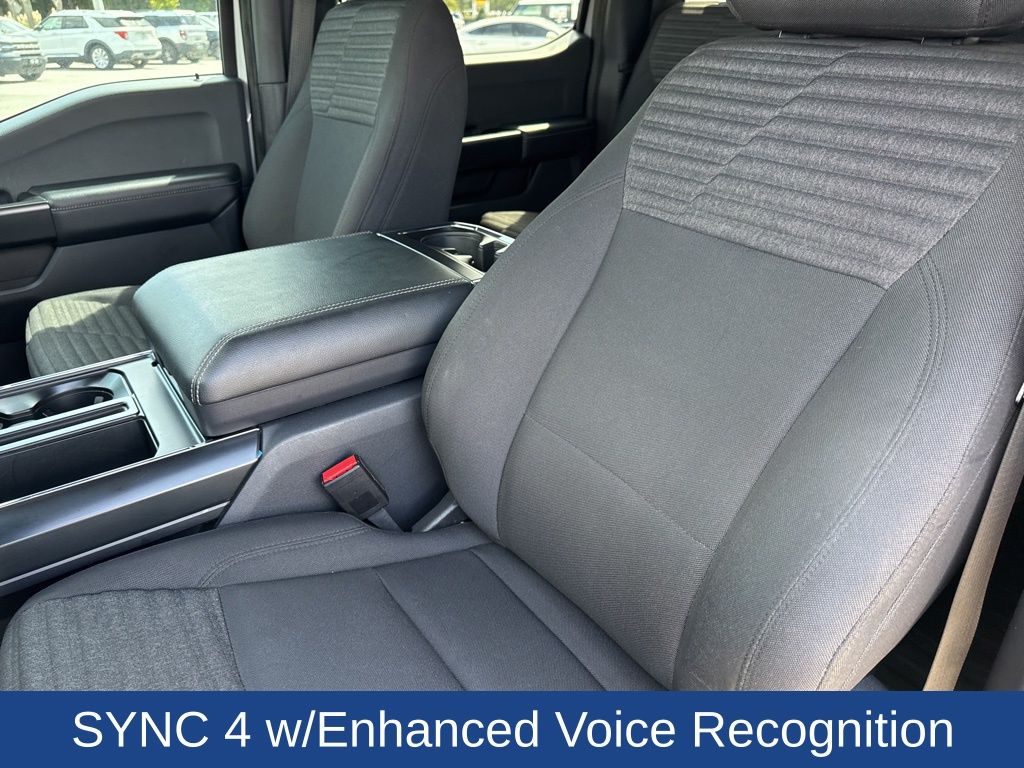 2023 Ford F-150 XL photo 8