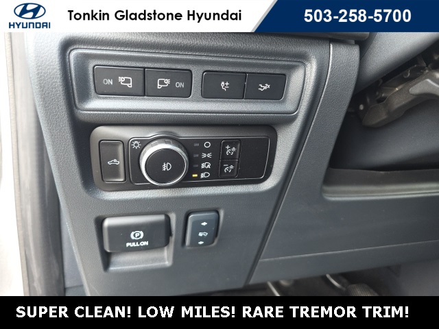 2024 Ford F-150 Tremor photo 10