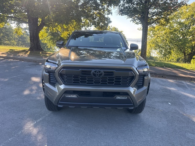 2024 Toyota Tacoma TRD Off-Road photo 2