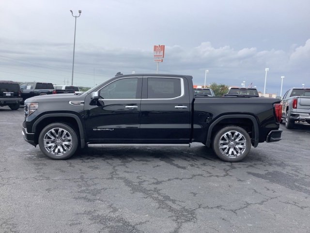 2025 Gmc Sierra 1500 Denali photo 4
