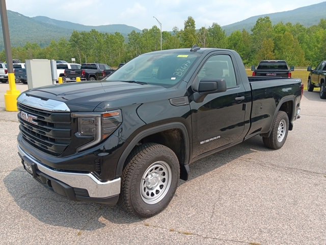 2025 Gmc Sierra 1500 Pro photo 3