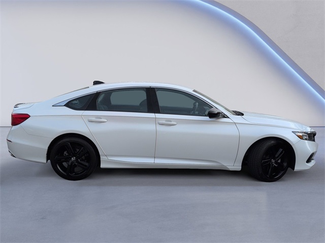 2022 Honda Accord Sport 1.5T photo 3