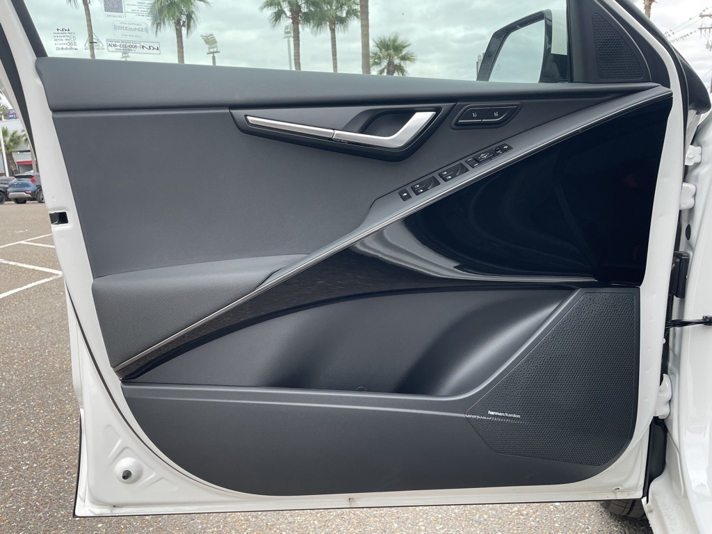 2024 Kia Niro EV Wave photo 8
