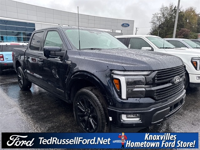 2025 Ford F-150 Platinum photo 3