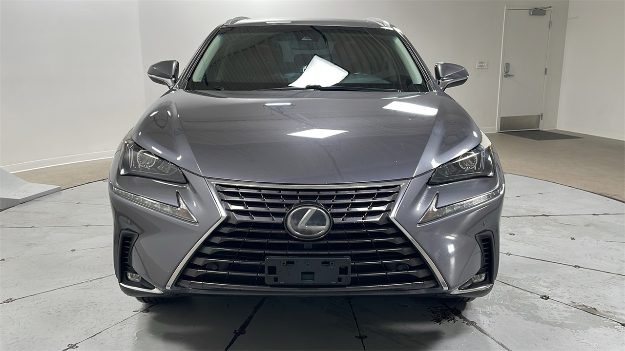 2019 Lexus NX 300 Luxury photo 2