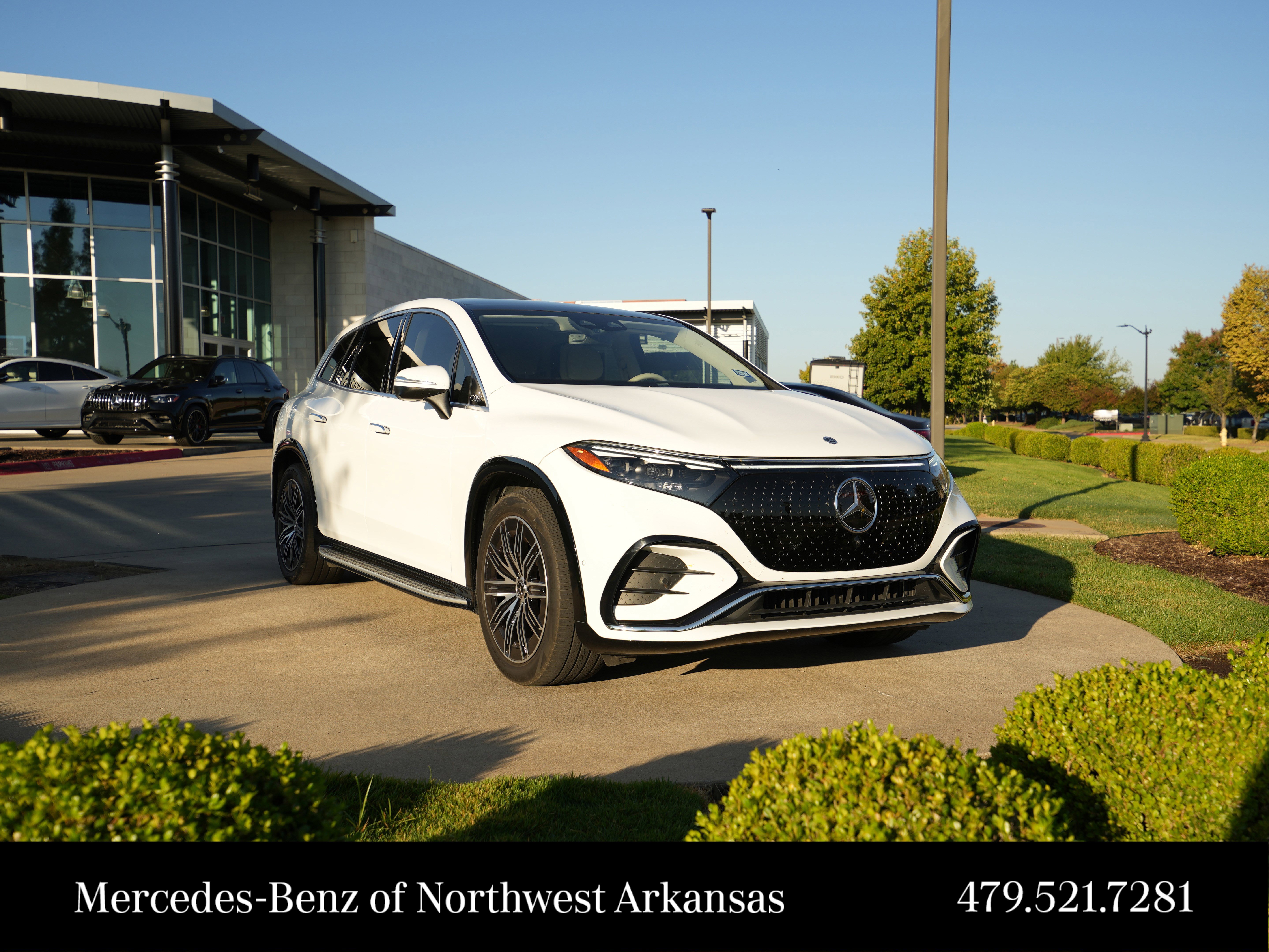 2023 Mercedes-Benz EQS SUV Base's photo