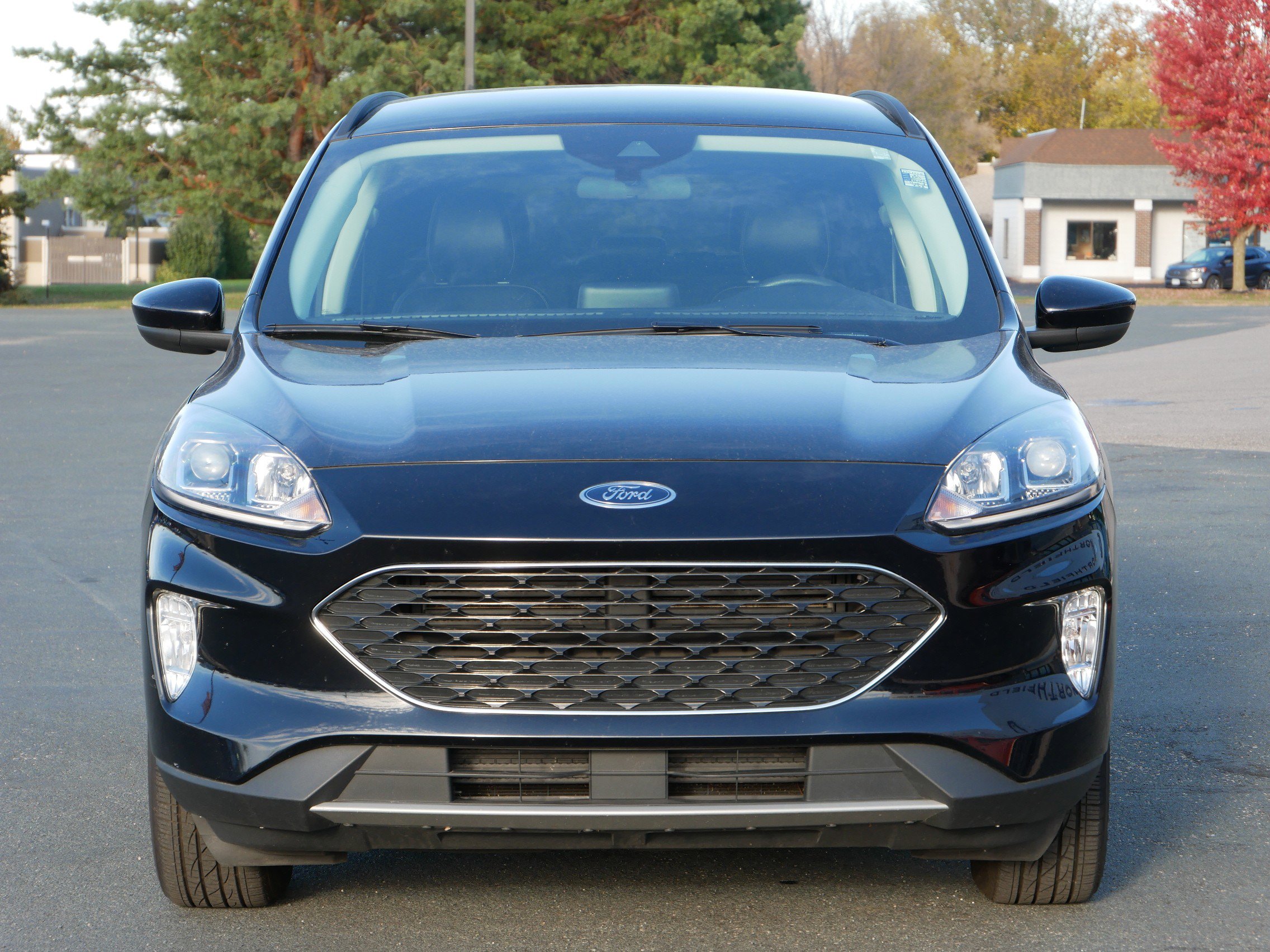 2021 Ford Escape SEL Hybrid photo 2