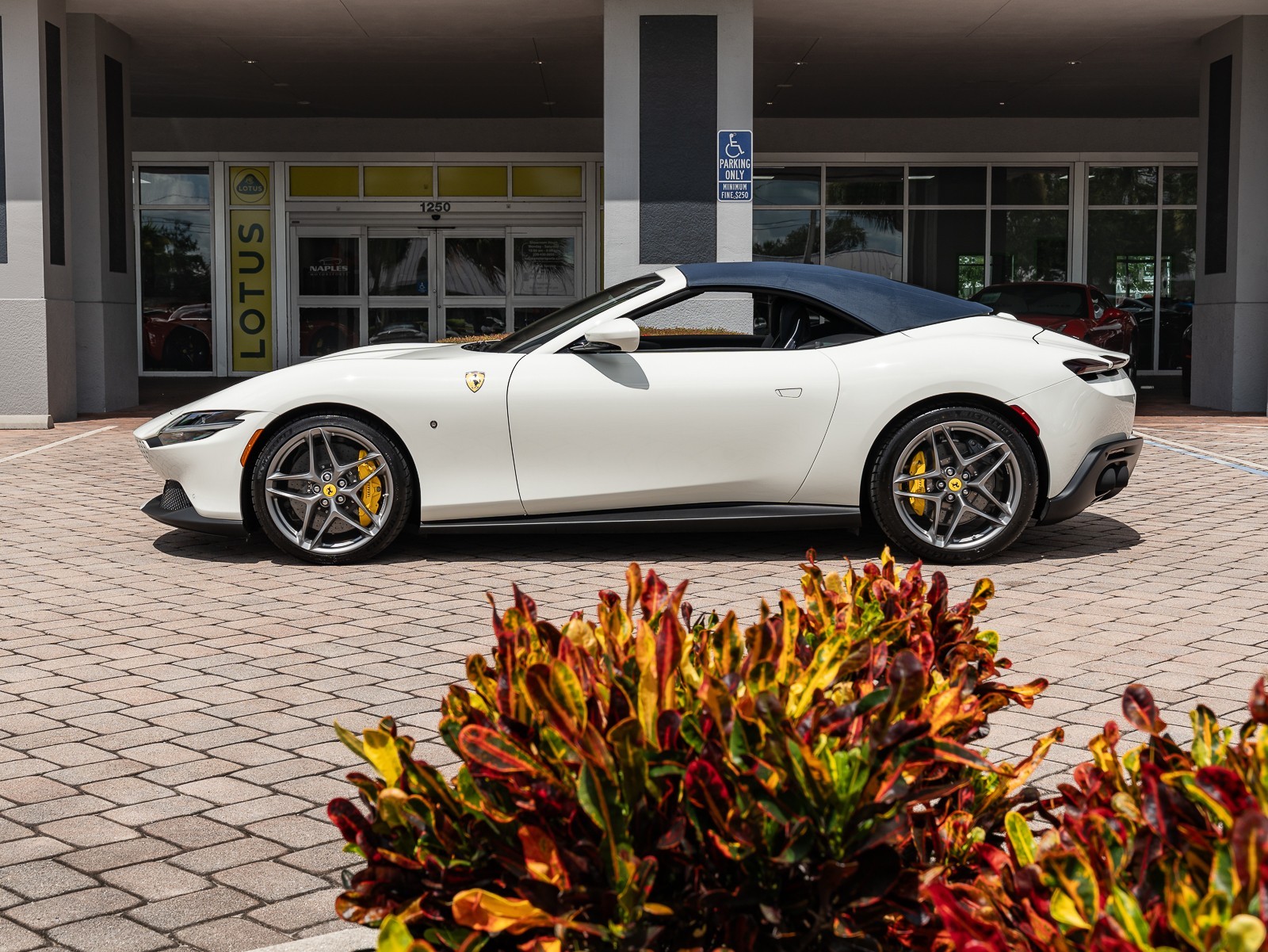 2024 Ferrari Roma Spider photo 33